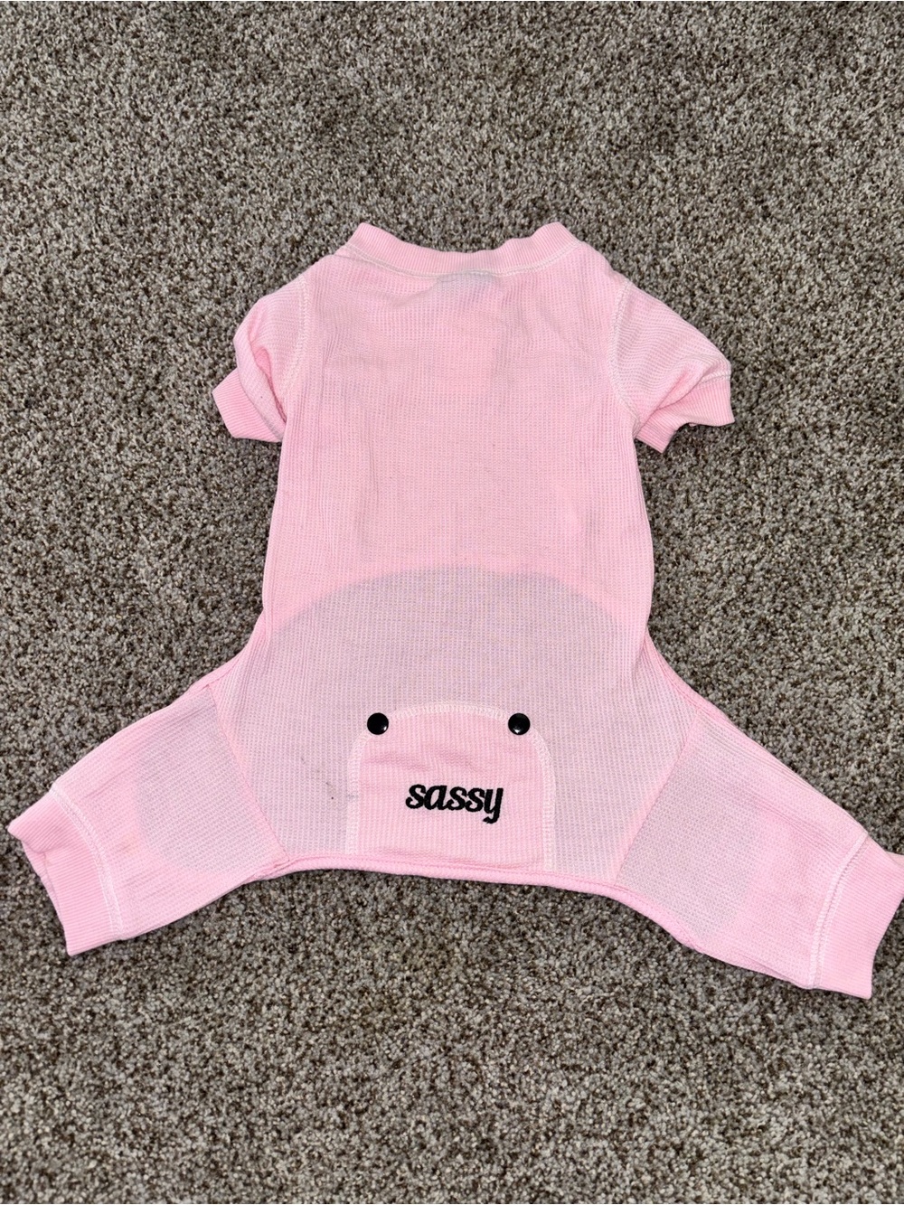 Pink 'sassy' Dog Pajama Onesie